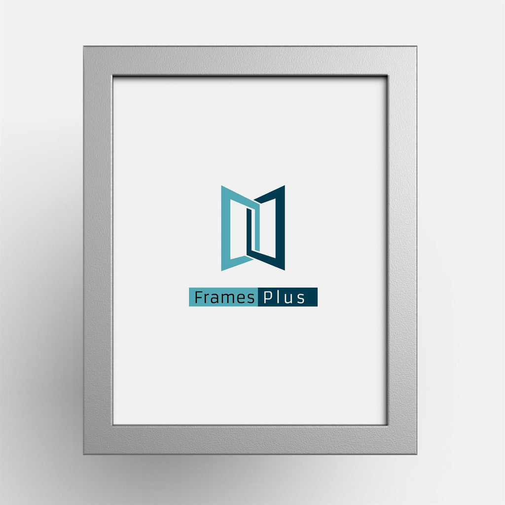 Classic Silver Photo, Picture & Poster Frames